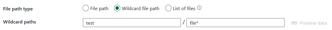 Screenshot showing wildcard file path.