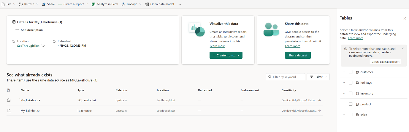 Screenshot showing open model in Power BI.