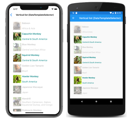 Screenshot of CollectionView runtime item template selection, on iOS and Android