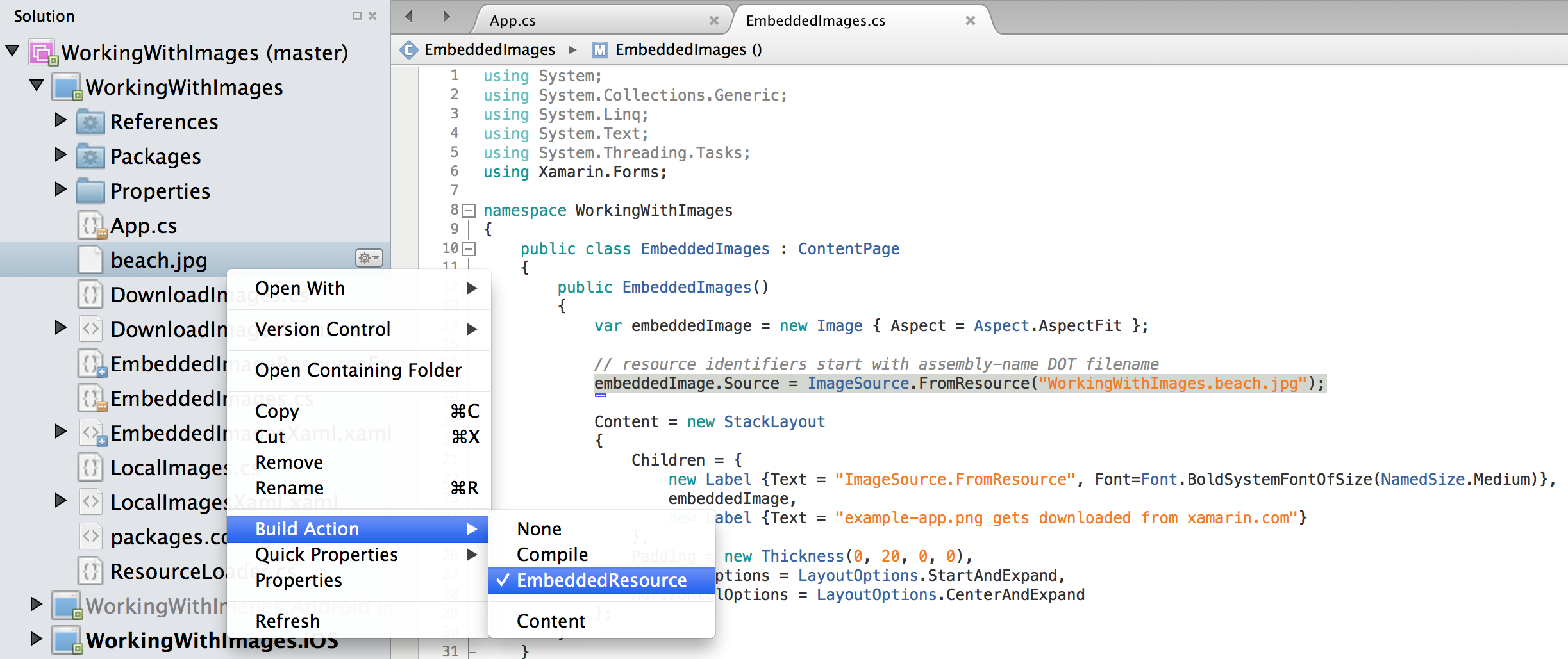 Set Build Action: EmbeddedResource