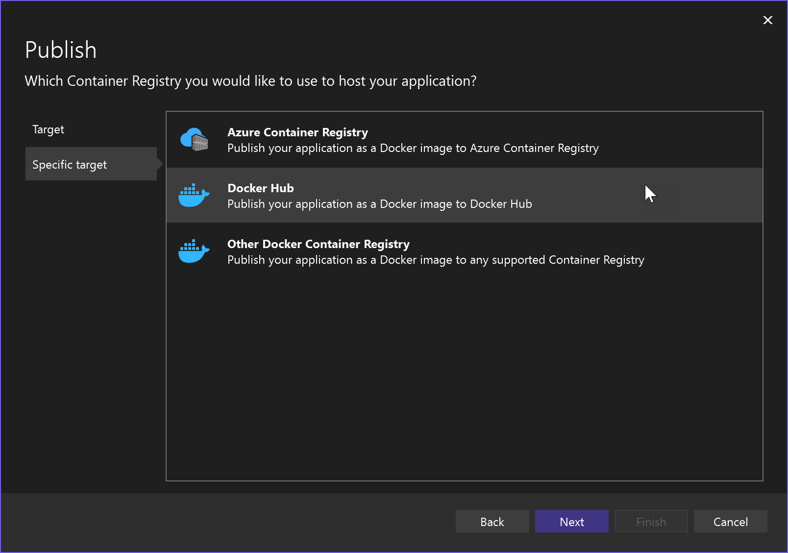 Screenshot showing Docker Container Registry publish option.