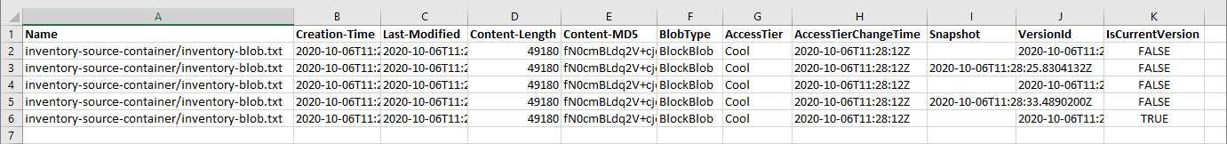 Snímek obrazovky se souborem CSV inventáře otevřeným v Microsoft Excelu