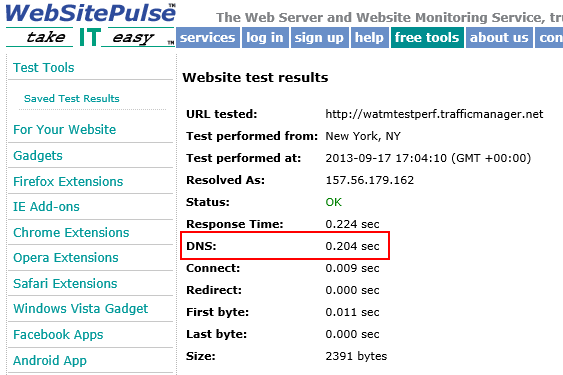 Snímek obrazovky znázorňující nástroj WebSitePulse se zvýrazněným vyhledávacím výsledkem DNS