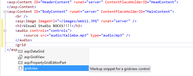 Vložení objektu GridView se seznamy IntelliSense a částečné párování