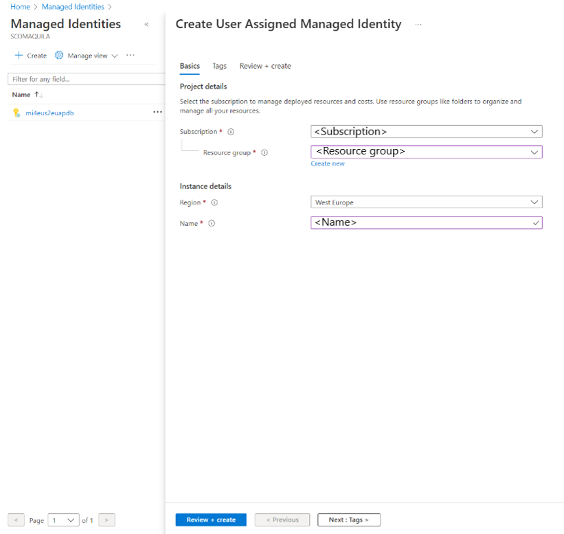 Snímek obrazovky znázorňující podrobnosti projektu a instance spravované identity přiřazené uživatelem