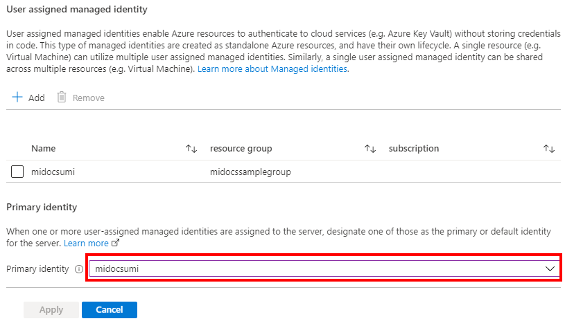 Snímek obrazovky webu Azure Portal s výběrem primární identity pro server