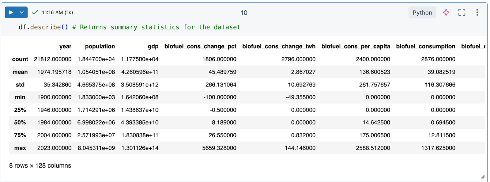 Cell output displaying df.describe.