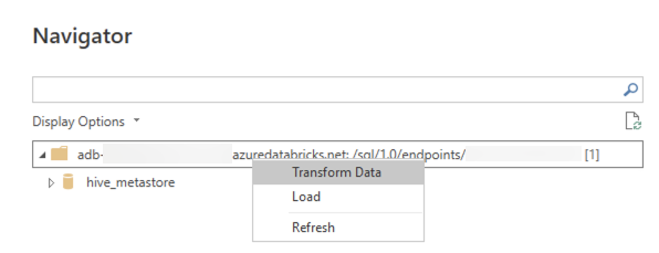V navigátoru klikněte na Transformovat data.