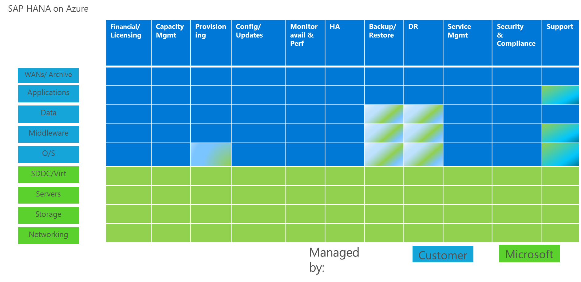 Odpovědnosti SAP HANA v Azure (velké instance)