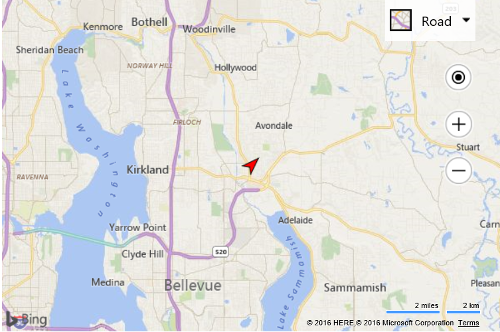 Screenshot of a Bing map that shows a red pointer arrow as a pushpin in the center of the map as defined in the code example.