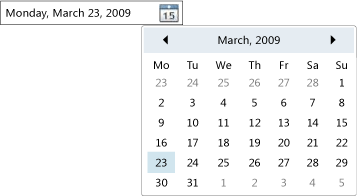 ovládací prvek DatePicker