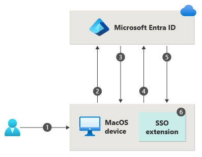 Diagram znázorňuje kroky, které se týkají přihlašování uživatelů pomocí jednotného přihlašování platformy macOS.