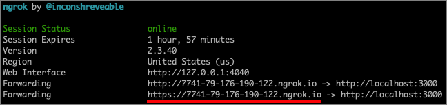 Snímek obrazovky znázorňující, jak získat veřejnou adresu URL ngrok