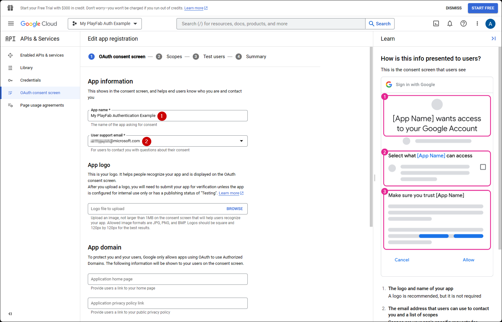 Google API Manager OAuth Consent Screen configuration