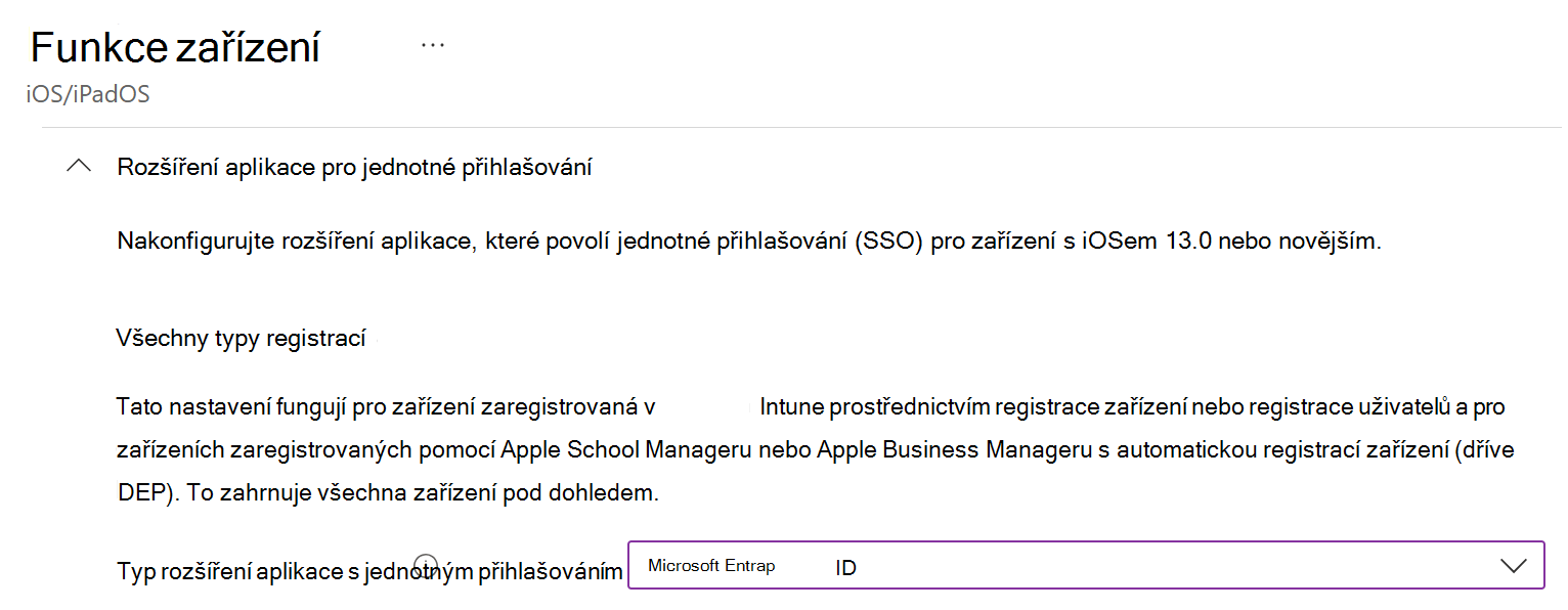 Snímek obrazovky znázorňující typ rozšíření aplikace s jednotným přihlašováním a Microsoft Entra ID pro iOS/iPadOS v Intune