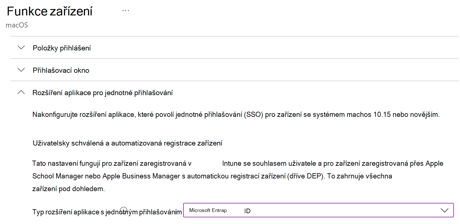 Snímek obrazovky znázorňující typ rozšíření aplikace s jednotným přihlašováním a Microsoft Entra ID pro macOS v Intune