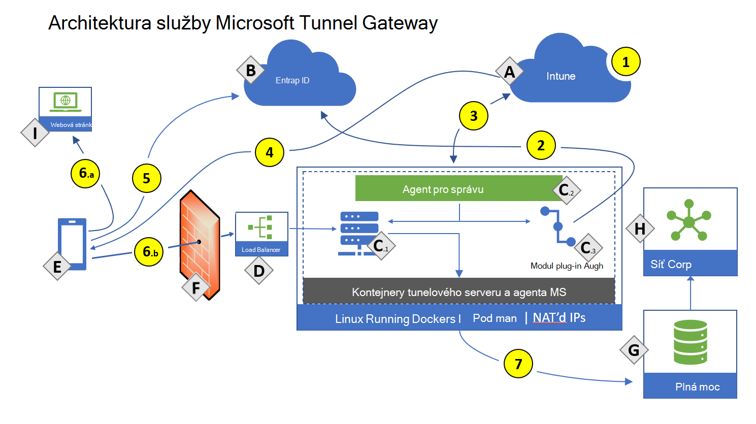 Výkres architektury služby Microsoft Tunnel Gateway