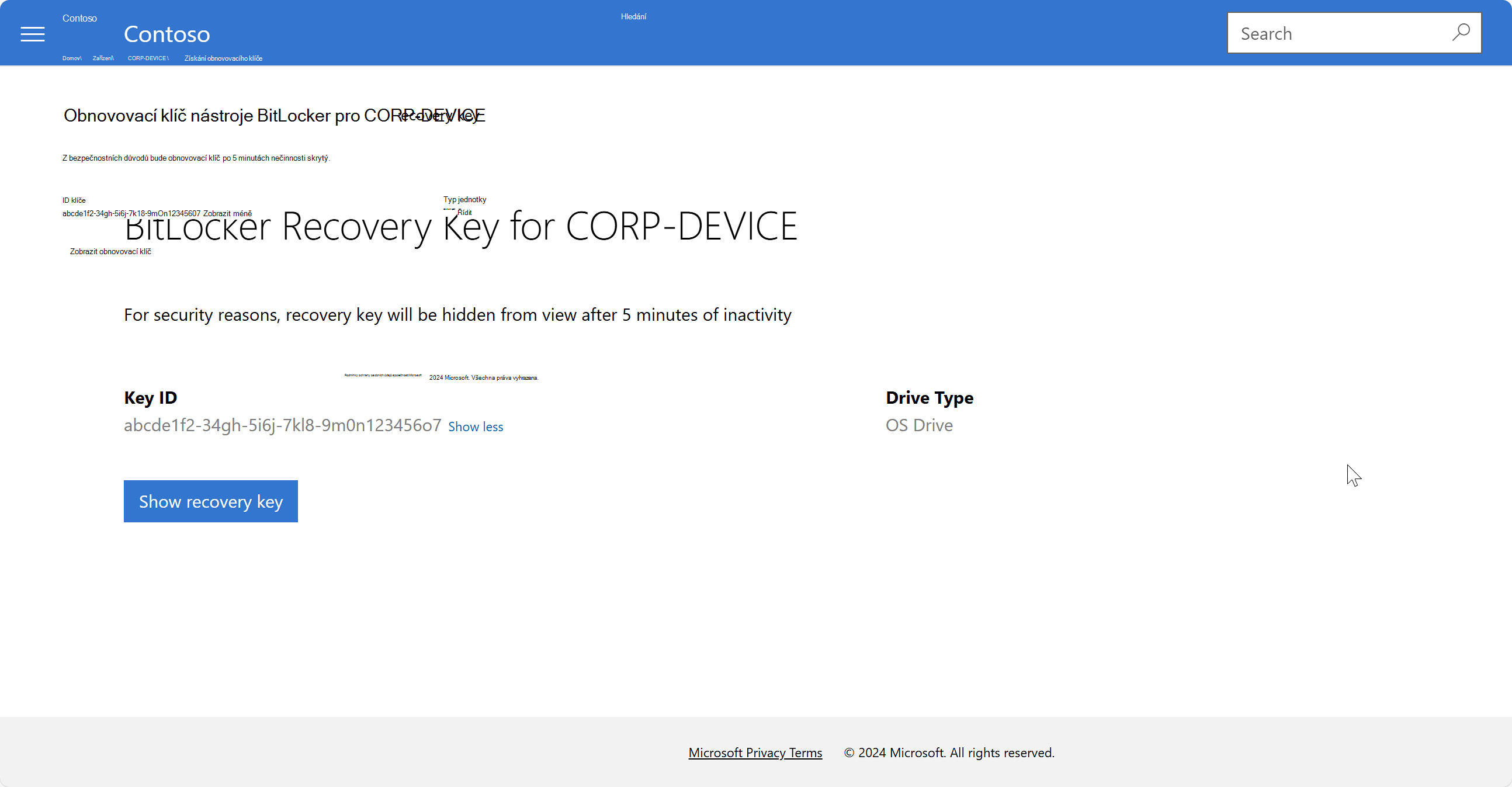 Ukázkový snímek obrazovky se stránkou obnovovacího klíče nástroje BitLocker na webu Portál společnosti Intune
