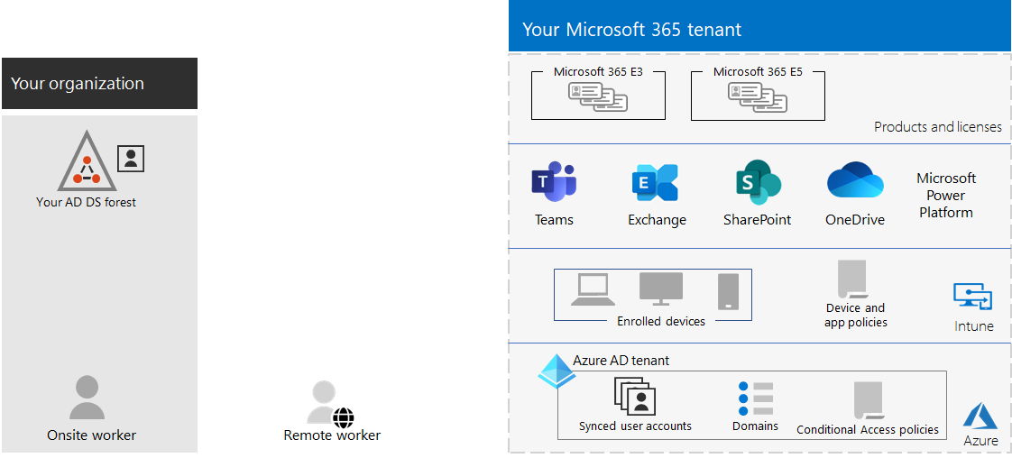 Příklad tenanta Microsoftu 365.