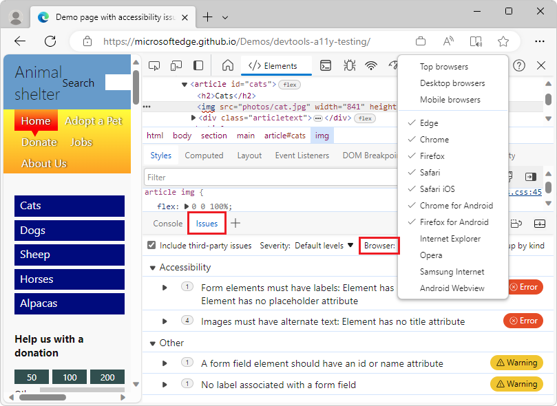 The Issues panel with the Browser dropdown list expanded, showing the different browsers that can be selected