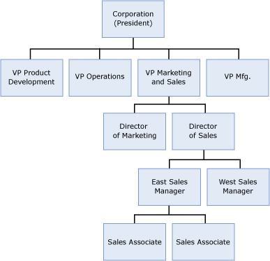 Ukázkový organizační diagram