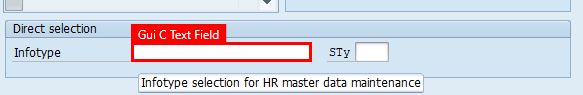 Screenshot okna Maintain HR Master Data aplikace SAP Easy Access v oblasti Přímý výběr obrazovky je vybráno pole Infotyp.