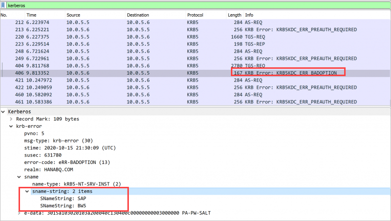 Snímek obrazovky s programem WireShark zobrazující jinou chybu