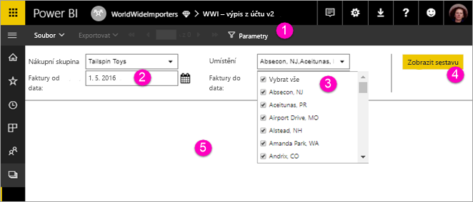 Screenshot showing View paginated report with parameters.