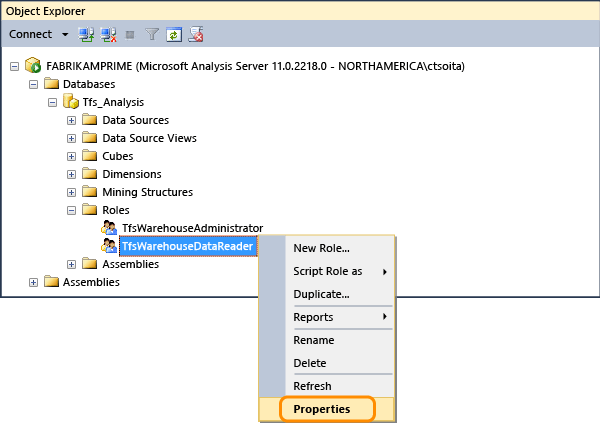 Open Tfs_Analysis data reader role properties