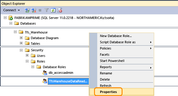 Open Tfs_Warehouse data reader role properties