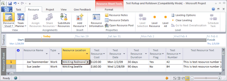 Resource custom field examples