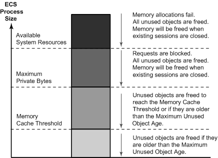 ECS process and cache management