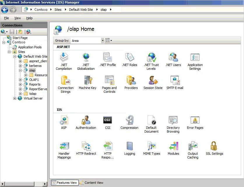 Screenshot of IIS Manager main page