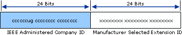 48-bit IEEE 802 Address