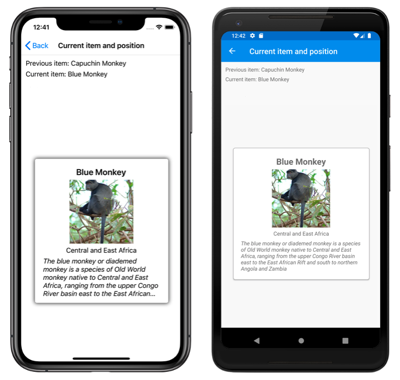 Snímek obrazovky s objektem CarouselView s předchozími a aktuálními položkami v iOSu a Androidu