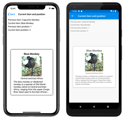 Snímek obrazovky s objektem CarouselView s předchozími a aktuálními pozicemi v iOSu a Androidu