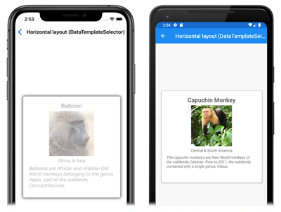 Snímek obrazovky s výběrem šablony položky modulu runtime CarouselView v iOSu a Androidu