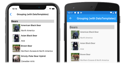 Snímek obrazovky se seskupenými daty v objektu CollectionView v iOSu a Androidu