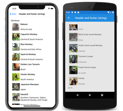 Snímek obrazovky se záhlavím a zápatím řetězce CollectionView v iOSu a Androidu