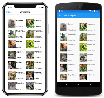Snímek obrazovky s rozložením svislé mřížky CollectionView v iOSu a Androidu