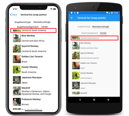 Snímek obrazovky se svislým seznamem CollectionView se středovými body přichycení v iOSu a Androidu