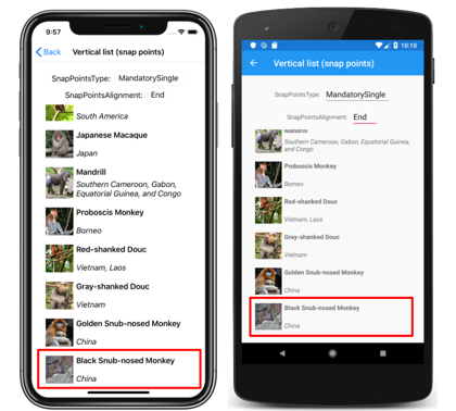 Snímek obrazovky se svislým seznamem CollectionView s koncovými body přichycení v iOSu a Androidu