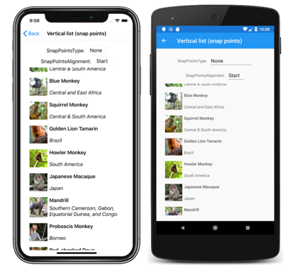 Snímek obrazovky se svislým seznamem CollectionView bez bodů přichycení v iOSu a Androidu