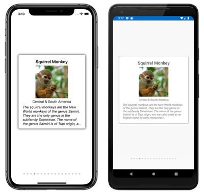 Snímek obrazovky s objektem CarouselView a IndicatorView v iOSu a Androidu