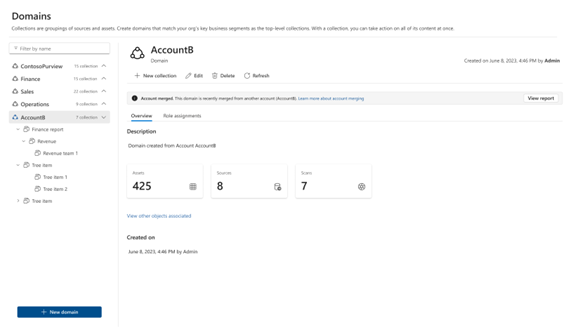 Screenshot of the Microsoft Purview Data Map, showing the account merged as a domain.