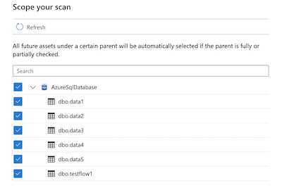 Scope your scan