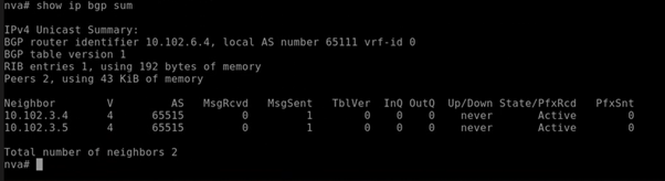 Snímek obrazovky s prováděním příkazů na virtuálním počítači síťového virtuálního zařízení Snímek obrazovky znázorňující azure Route Server jako soused protokolu BGP pro síťové virtuální zařízení