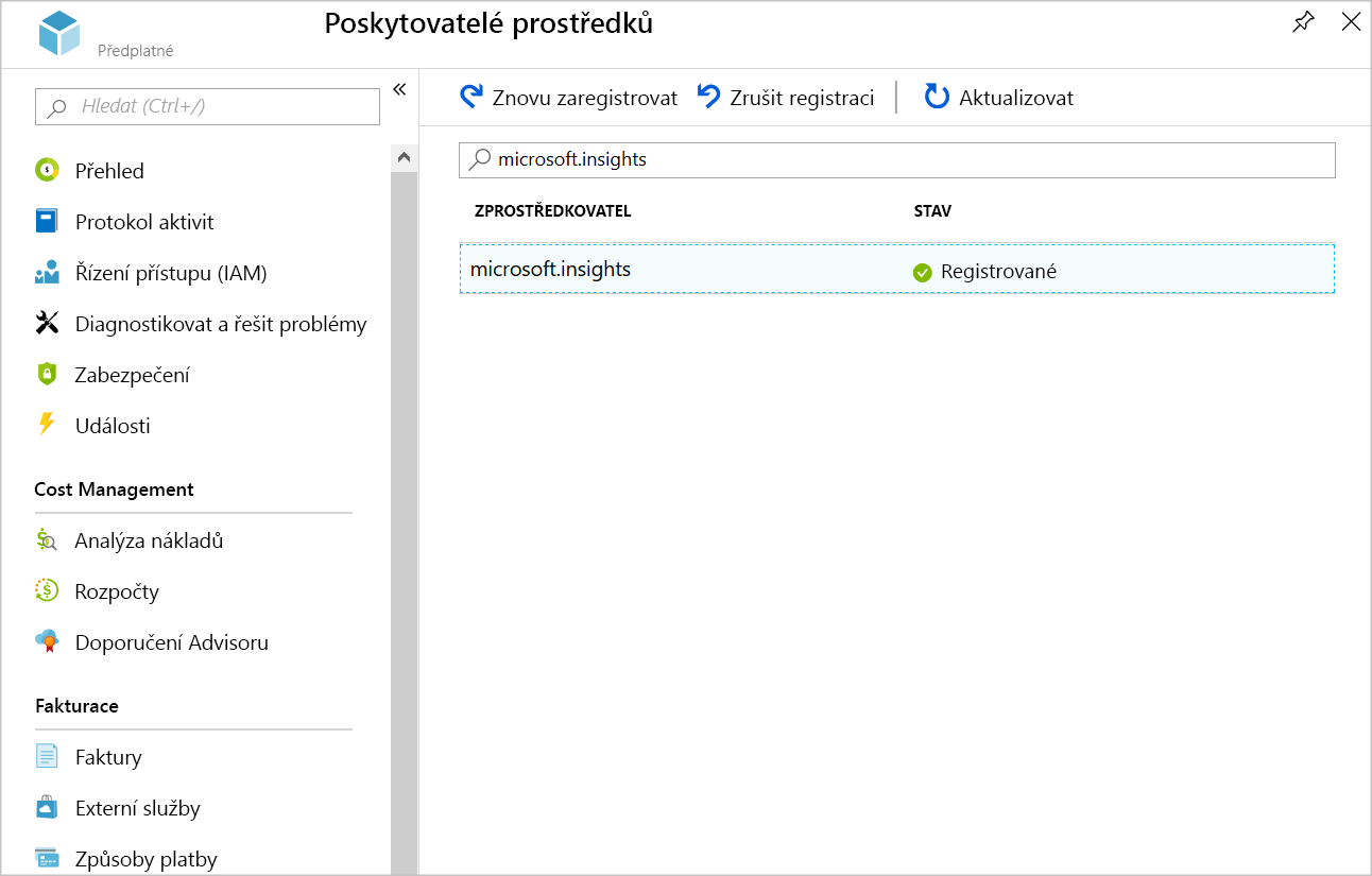 Screenshot showing the registered Microsoft.Insights provider.