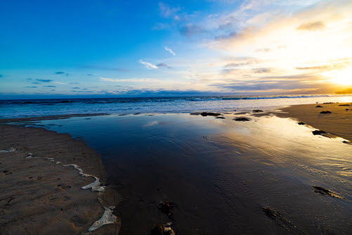 Fotografie znázorňující pobřeží oceánu