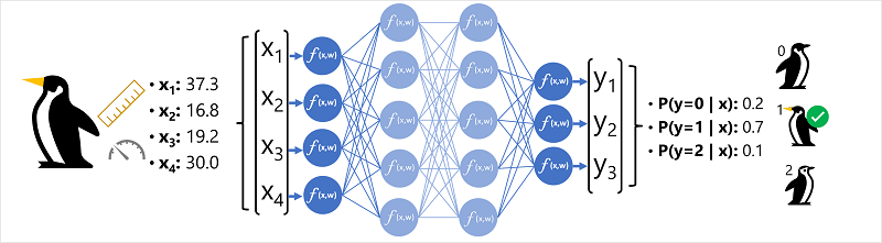 Diagram neurální sítě používané ke klasifikaci druhů tučňáků